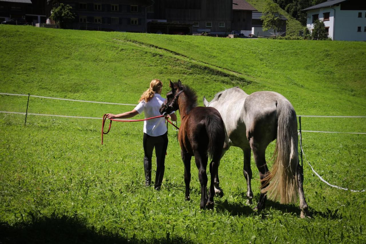 Haus Bergquell Lägenhet Au (Vorarlberg) Exteriör bild